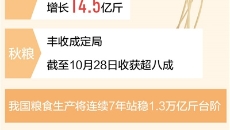 美高梅·(MGM)1888-官方网站